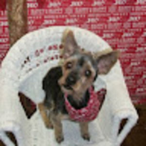 Meet your Posher, Laura